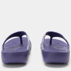 Ode Itchycoo Grey Sandal